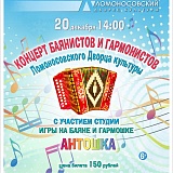 Концерт ансамбля баянистов и гармонистов